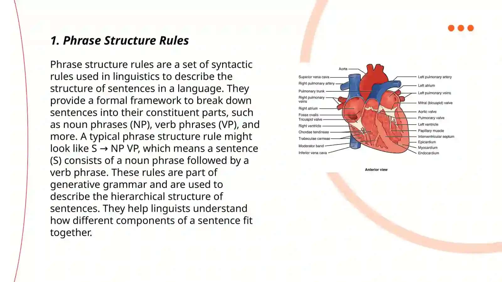 Deep and surface structure of the language 3