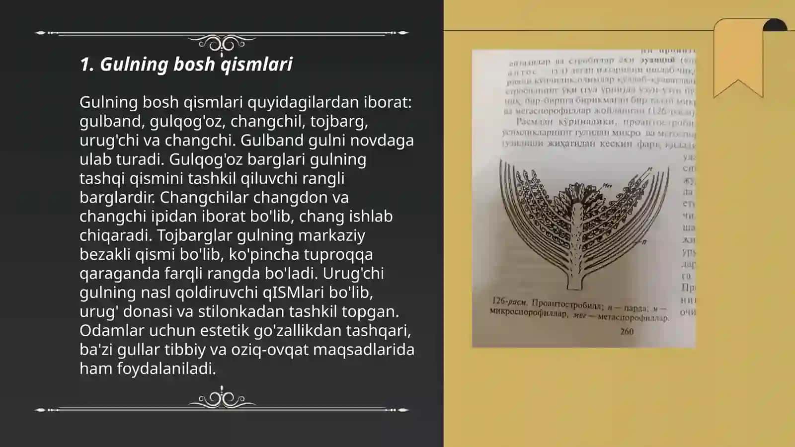 Gul qismlari 3