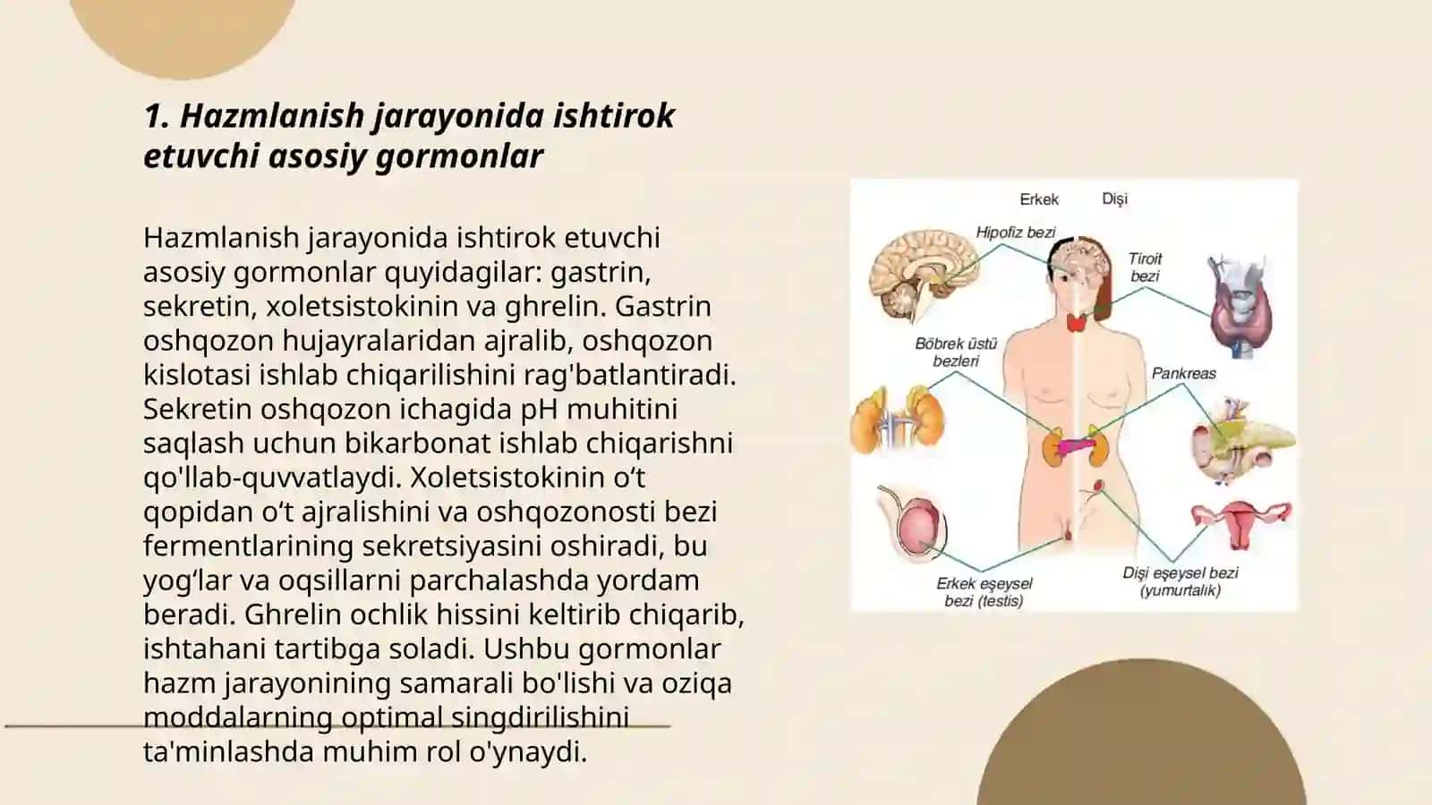 Endokrin boshqariluvi 3