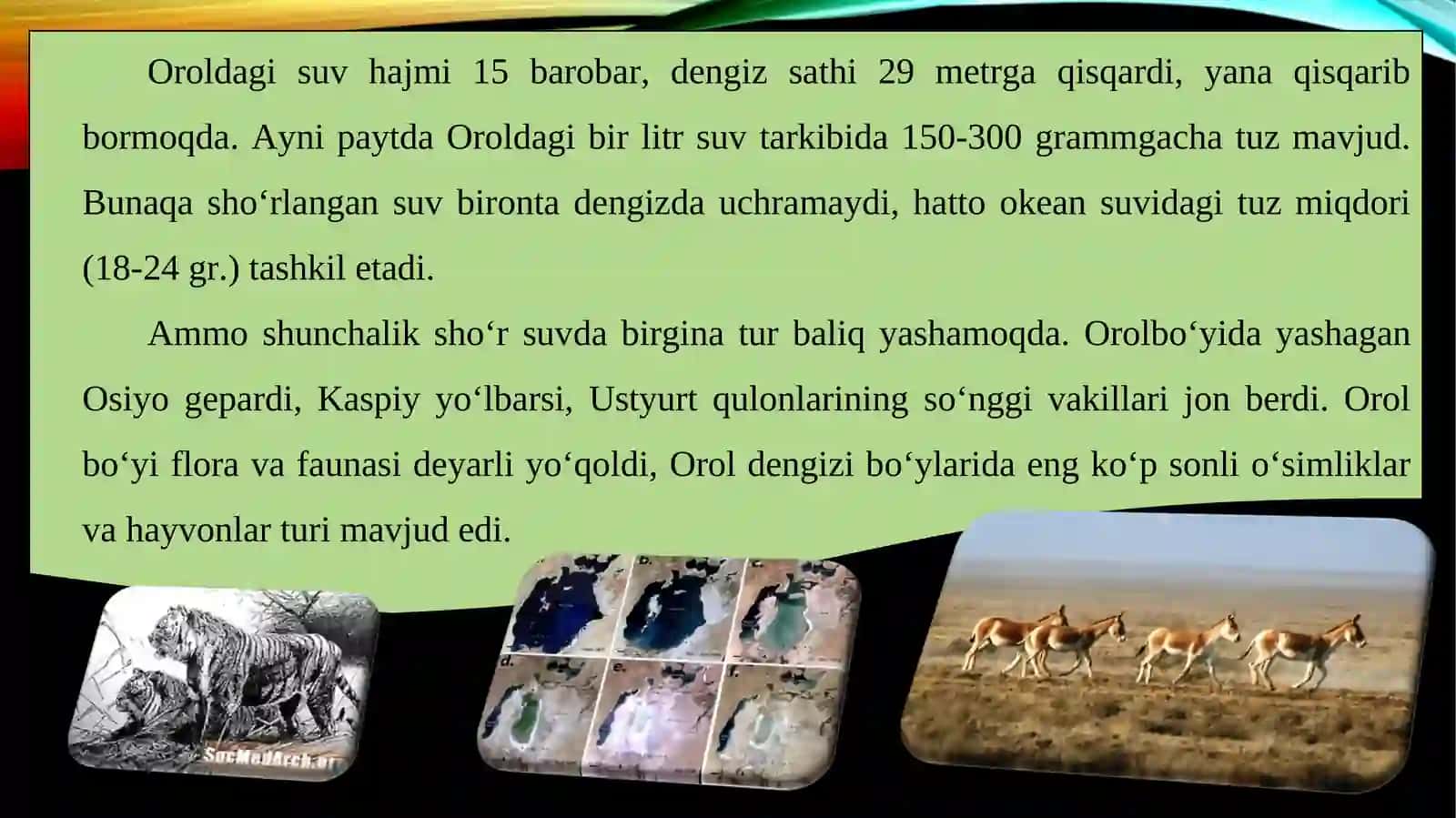 Ekologiya va tabiatni muhofaza qilish usulllari 3