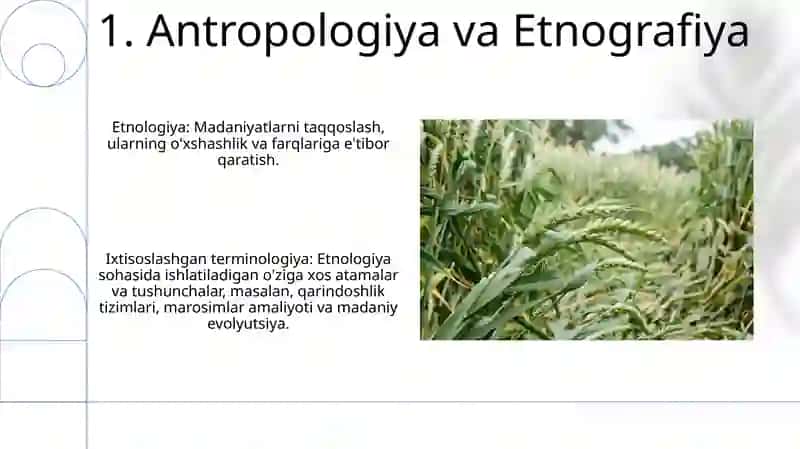 Etnologiya faniga xos maxsus atamalar 3