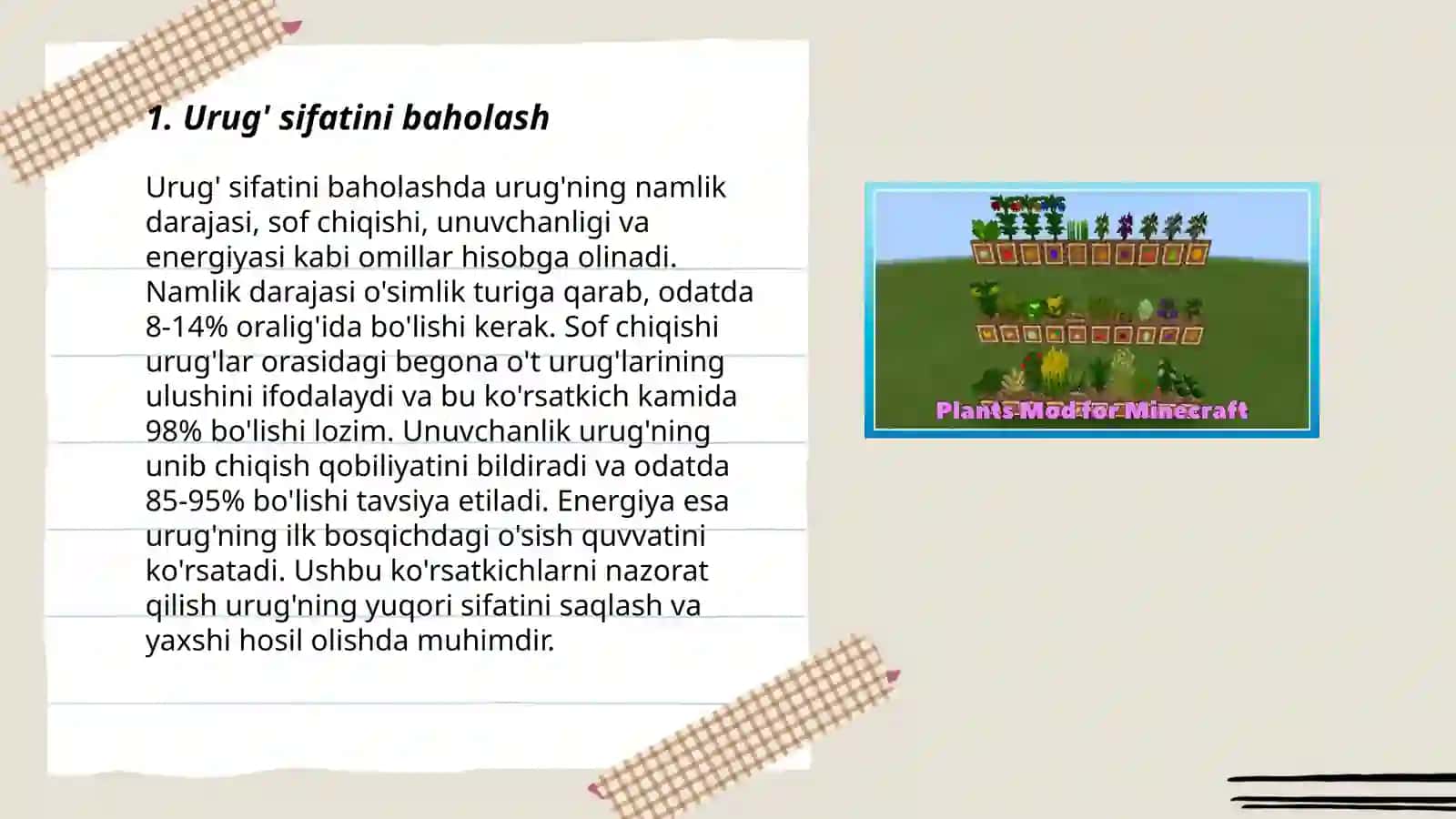 Abdurayxonova Mohlaroyim 3