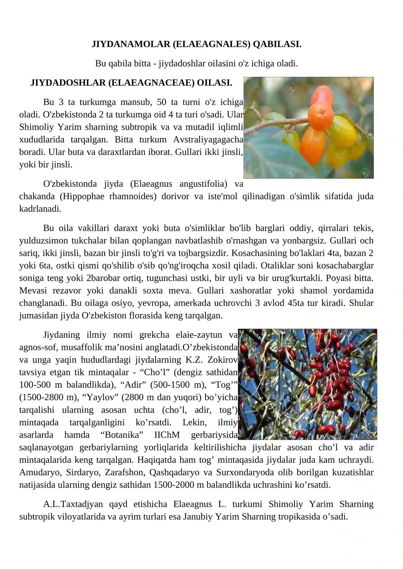 CHilonjiydadoshlar (Rhamnaceae) va Jiydadoshlar (Elaeagnaceae) oilasi turkumi turlari nomenklaturasini tahlili va o‘rganish qoidalari 3