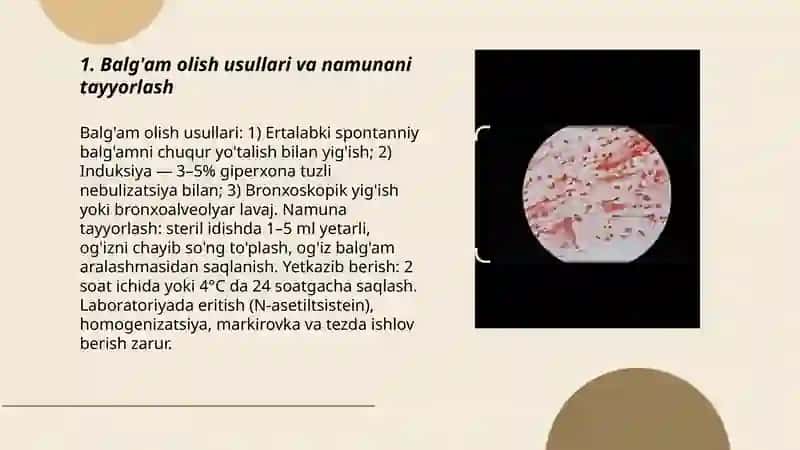 Balg'am umumiy tahlili tuzilishi xususiyatlari 3