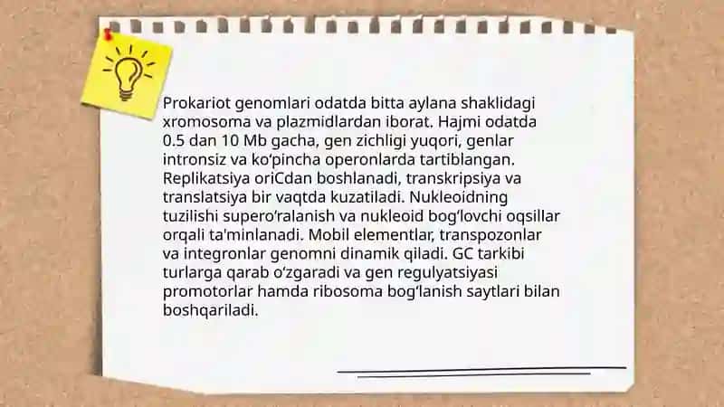 Prokariot hujayralar genomi 3