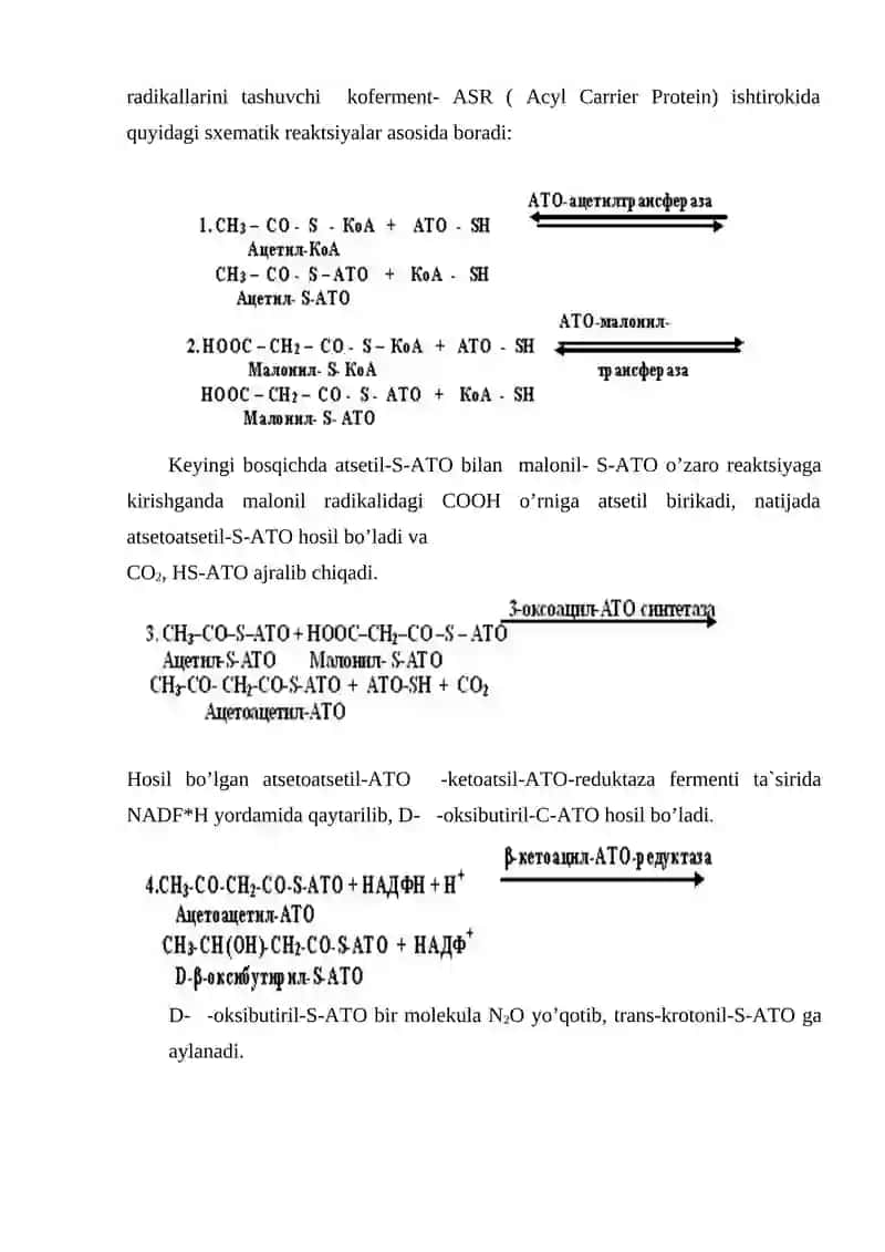 Yog’ kislotalarning biosintezi 3