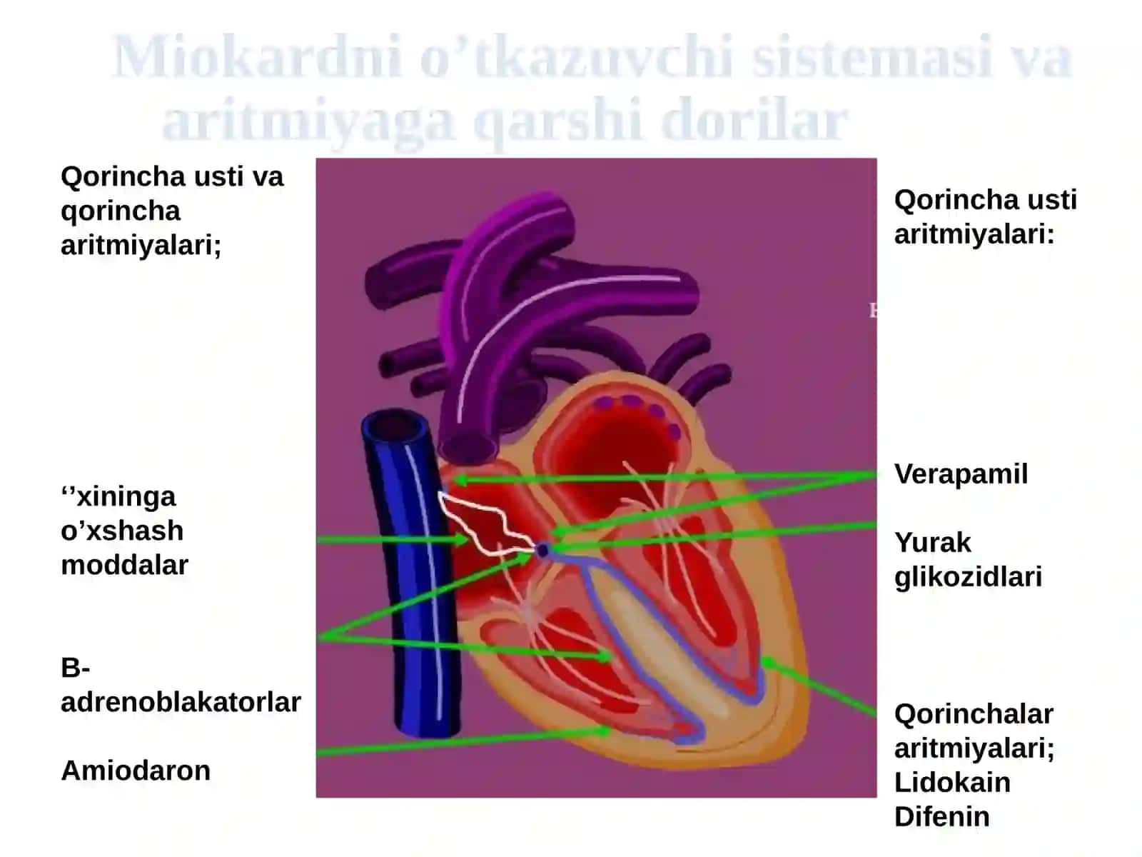 ARITMIYAGA QARSHI DORILAR 3