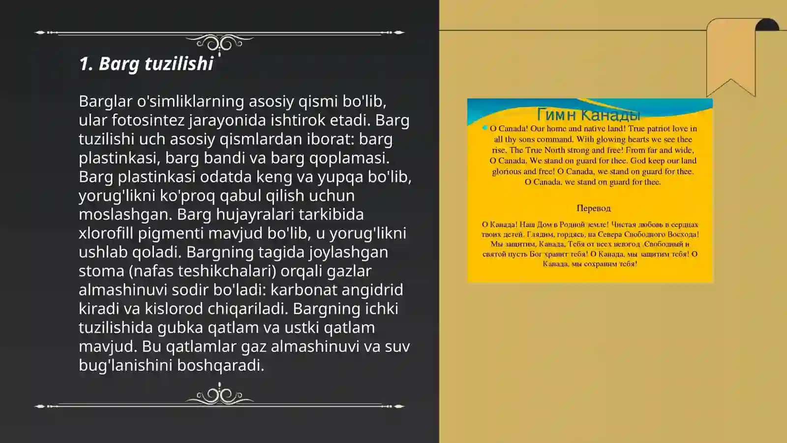 Barg tuzilishi 3