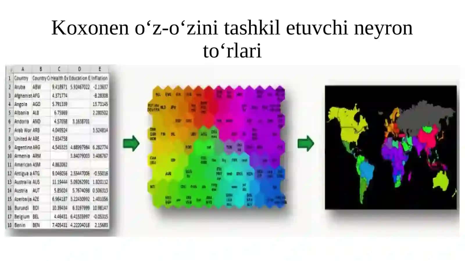 Koxonen o‘z-o‘zini tashkil etuvchi neyron to‘rlari 3