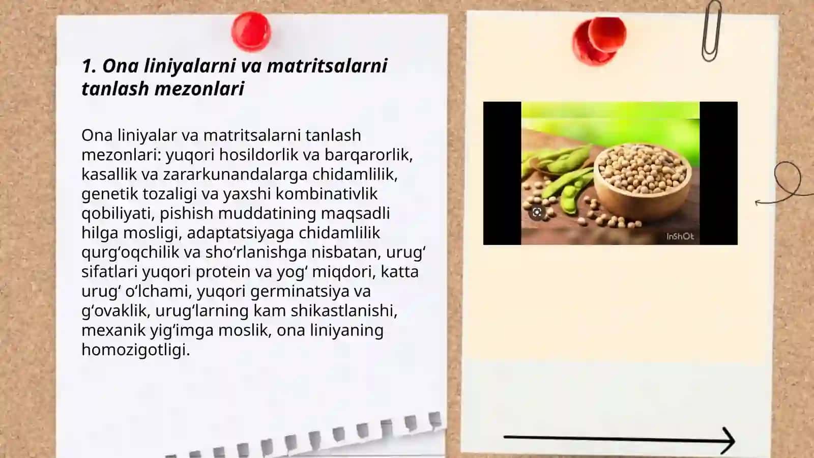 Sifatli dukkakli oʻsimliklaridan elita urugʻlarni olish texnologiyasi 3