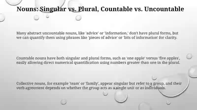 Nouns: Countable vs. Uncountable, Singular vs. Plural 3