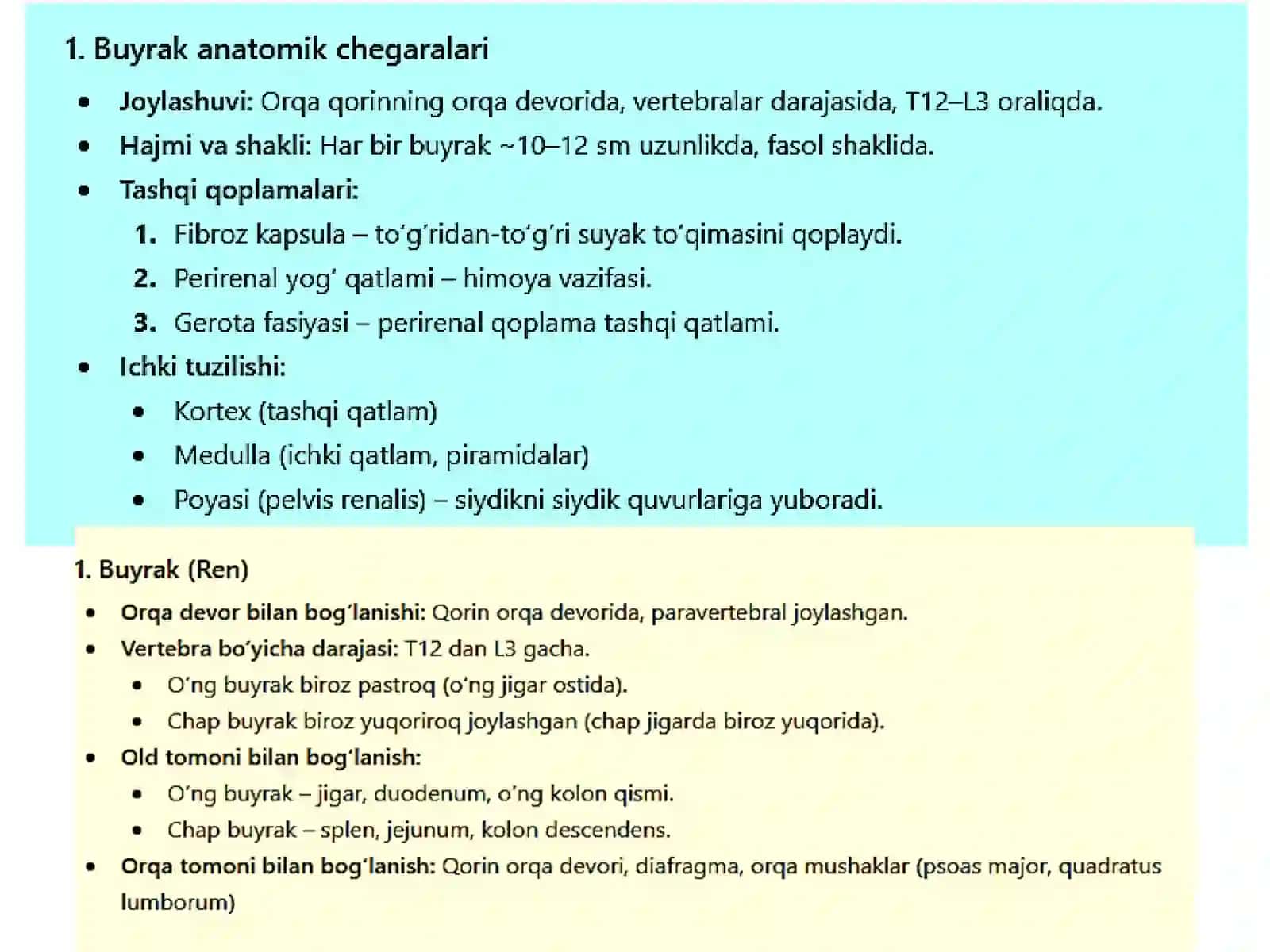 Buyrak vasiydi koy'llari anatomiyasi va fiziologiyasi 3
