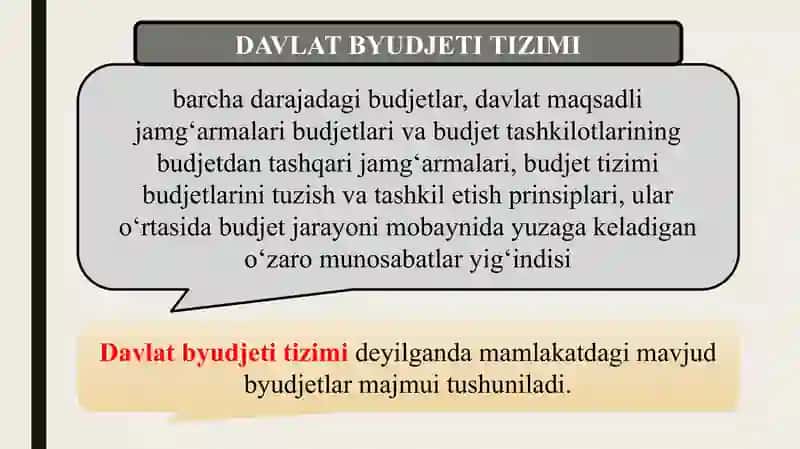 DAVLAT BUDJETI 3