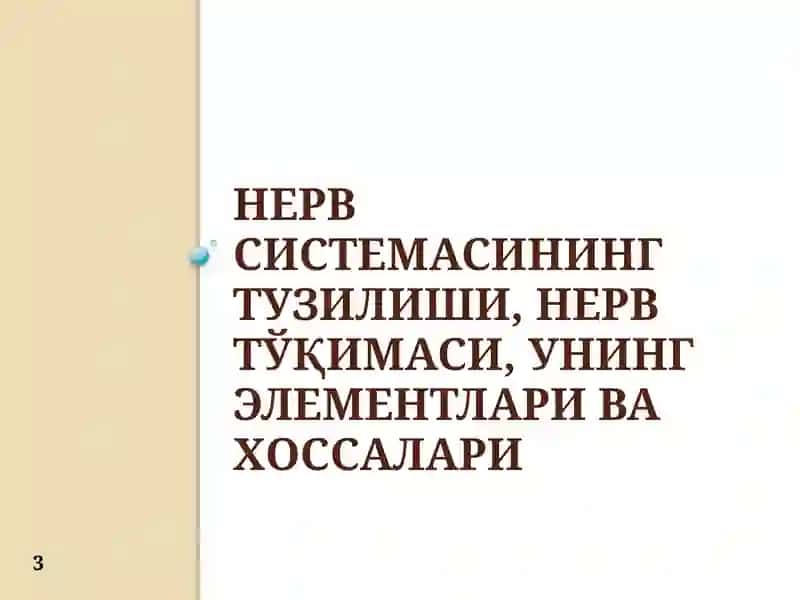 Ҳулқ-атворни психо-физиологик асослари 3