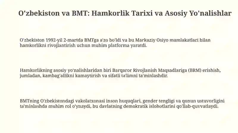 O'zbekiston va BMT: Hamkorlik Tarixi va Asosiy Yo'nalishlar 3