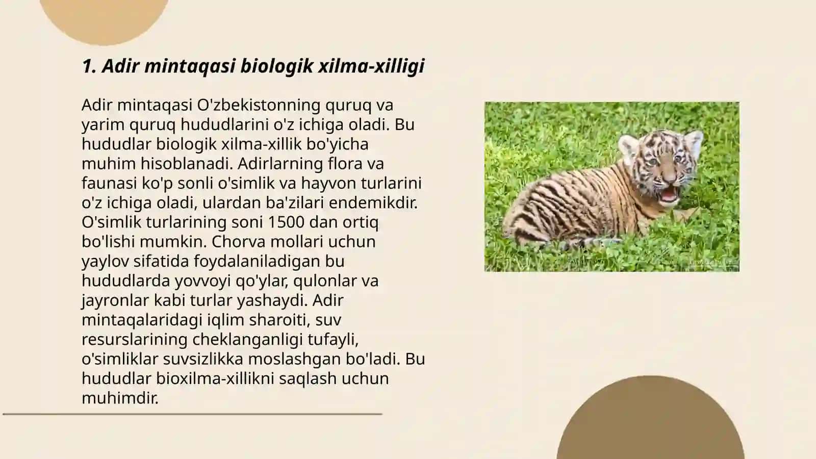 O'zbekiston adir mintaqasida tarqalgan hayvonlar 3