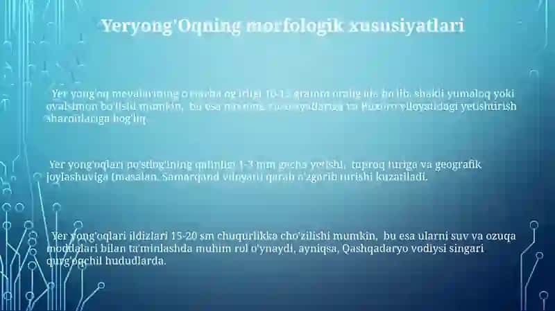 Yeryongʻoqning tarqalishi va navlari 3
