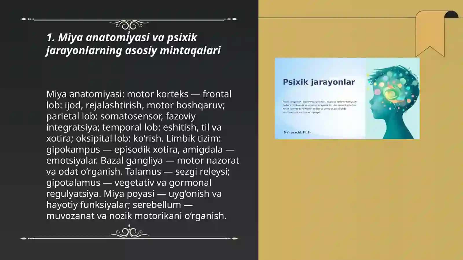 Psixik jarayonlar va miyaning ózaro aloqadorligi 3