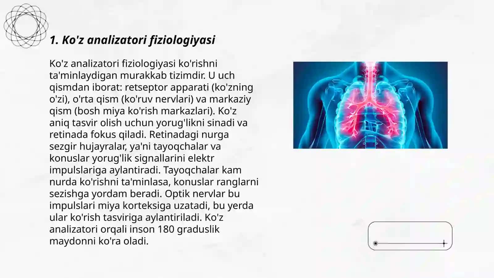 Ko'z analizatori fiziologiyasi 3