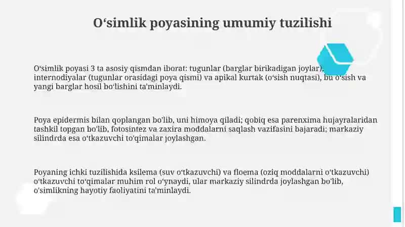Poyaning tuzilishi va kurtaklarning tasnifi 3