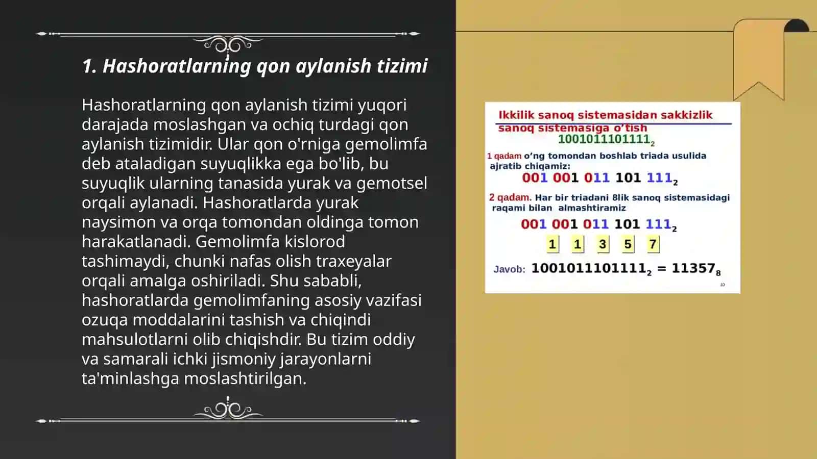 Hashoratlarning qon aylanish va ayiruv sistemalari 3