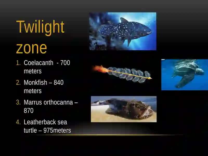 Zones of ocean 3
