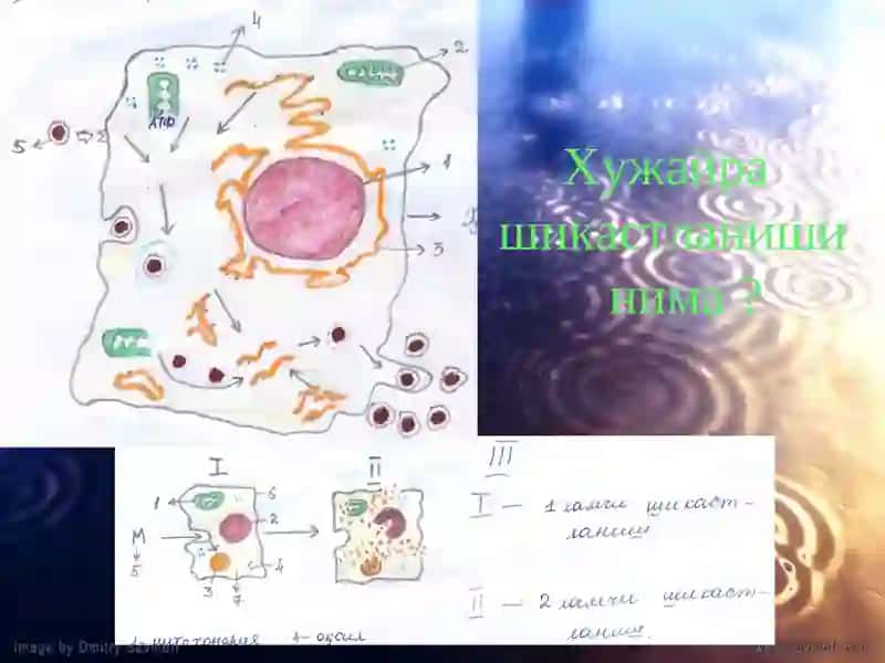 Ирсиятнинг      патологиядаги    роли 3