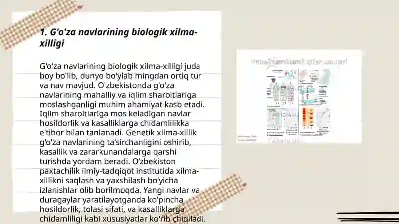 G'o'za navlarining biologik xilma-xilligi 3