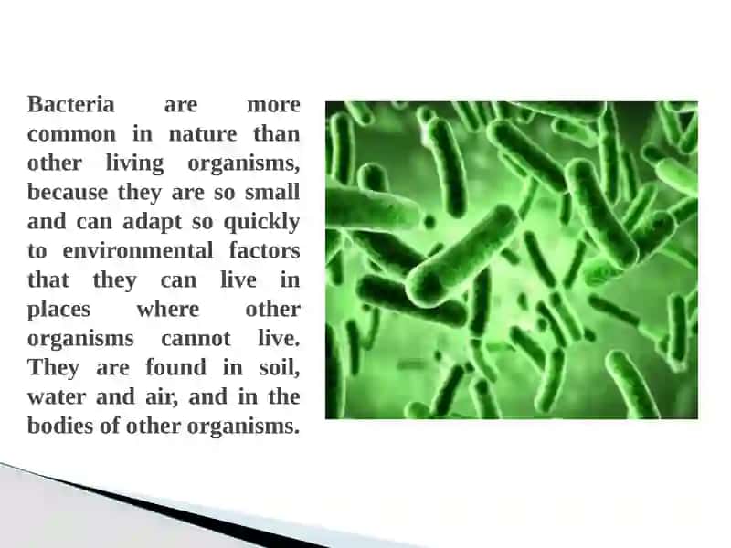 Distribution of microorganisms in nature 3