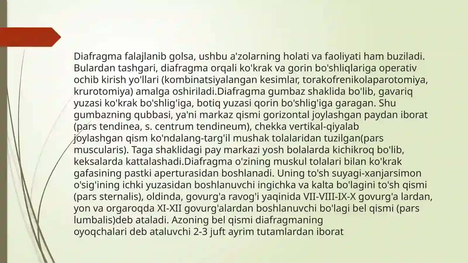 Diafragma 3