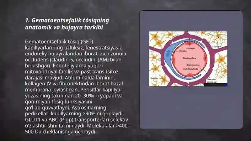 Gematoentsefalik tòsiq gistafiziologiyasi 3