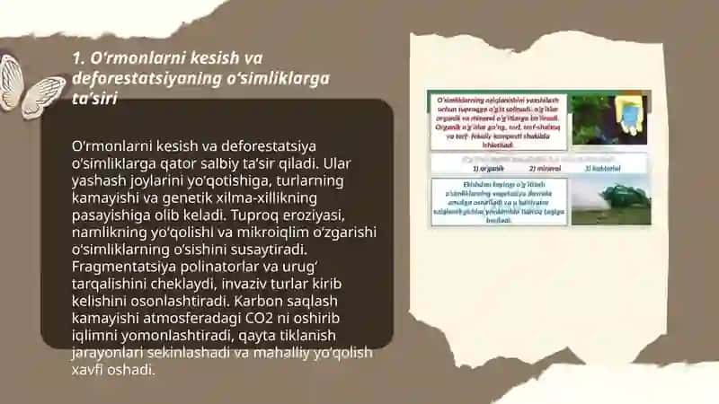 Insonlarning hozirgi holdagi oʻsimliklarga taʼsiri 3