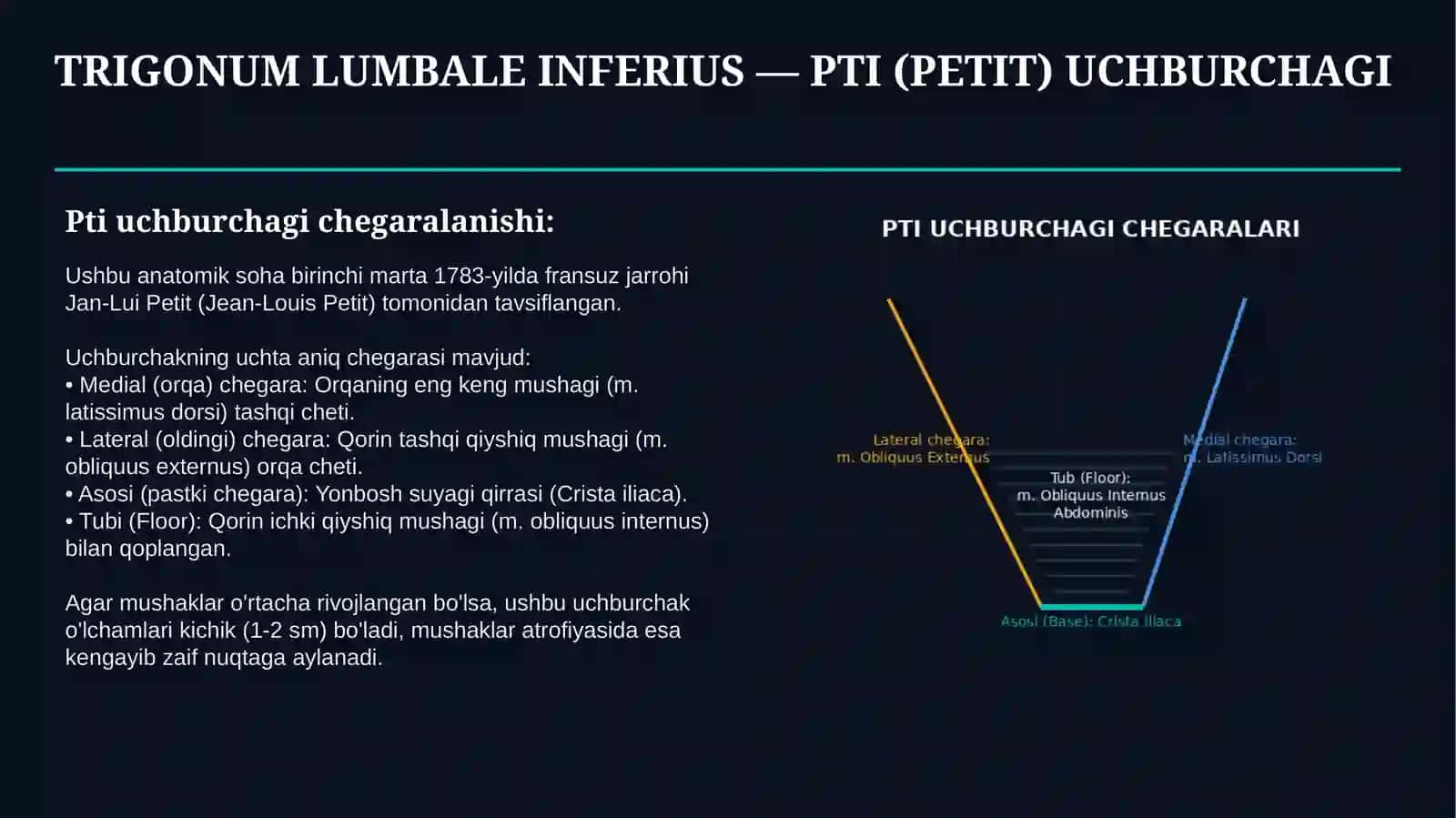 PTI UCHBURCHAGI VA BEL SOHASI CHURRALARI — ANATOMIYASI, TASHXISI VA DAVOLASH | 15 SLAYDLI TAQDIMOT 3
