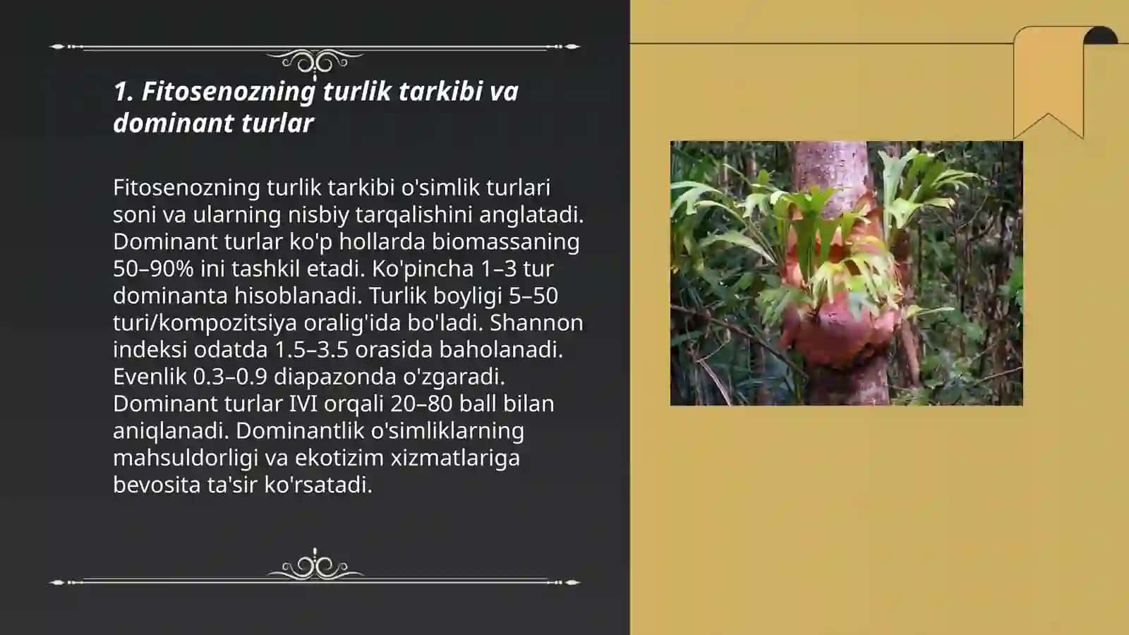Fitosenozning tarkibi,tuzilishi va mahsuldorligi 3