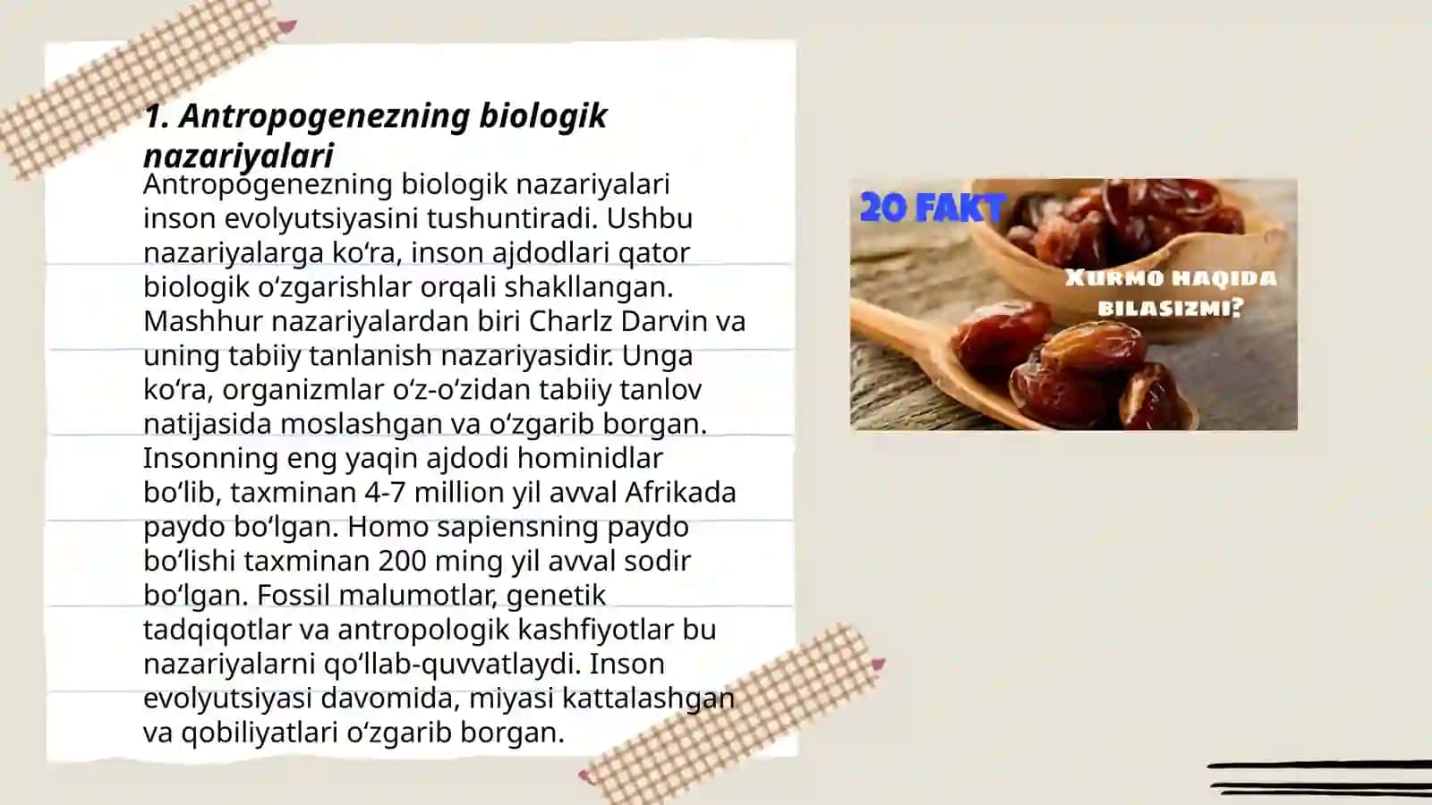 Antropogenezning biologik nazariyalari 3