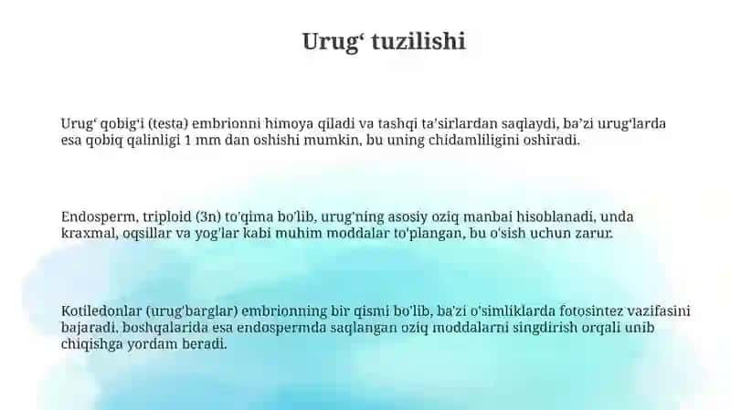 Urug' va mevaning tuzilishi 3