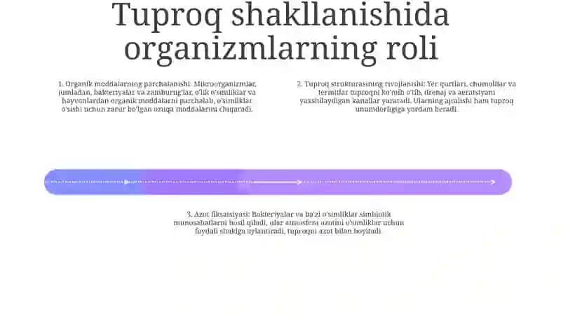 Organizmlar Va Tuproq Hosil BoʻLishi Hamda Geografiyasi 3