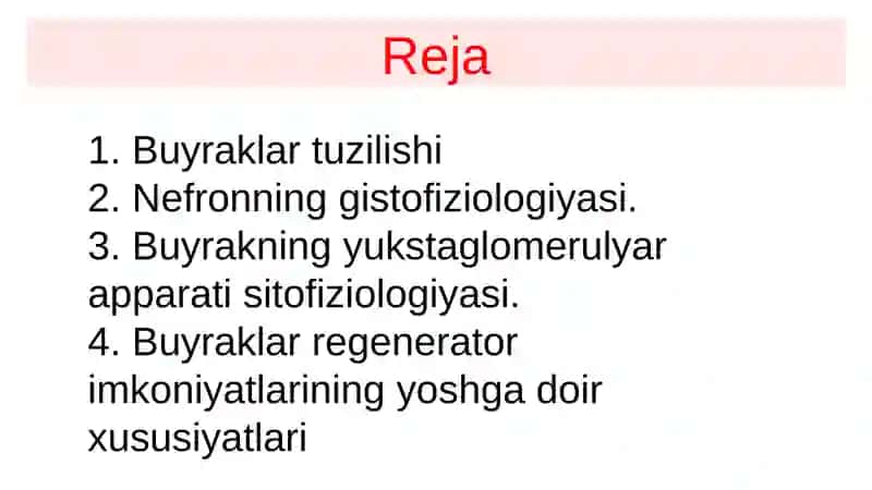 Buyraklar tuzilishi va fizfiziologiyasi 3