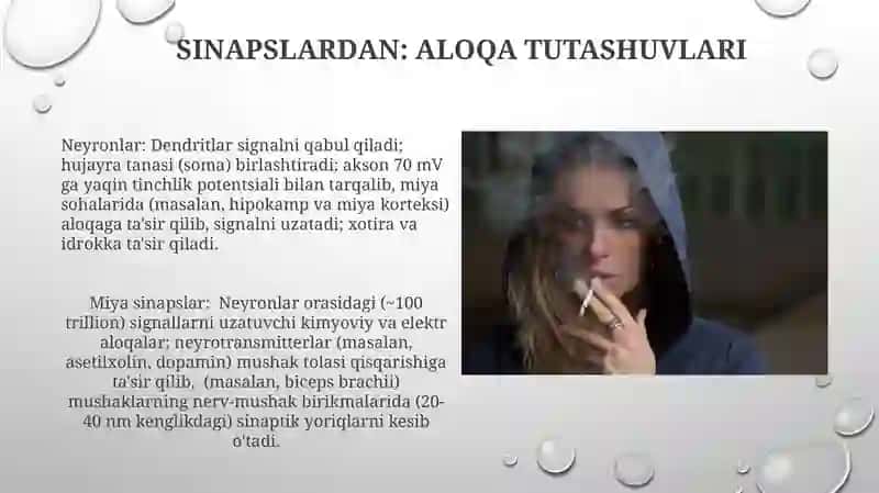 Nervtoʻqimasiningtarkibivahujayralari 3