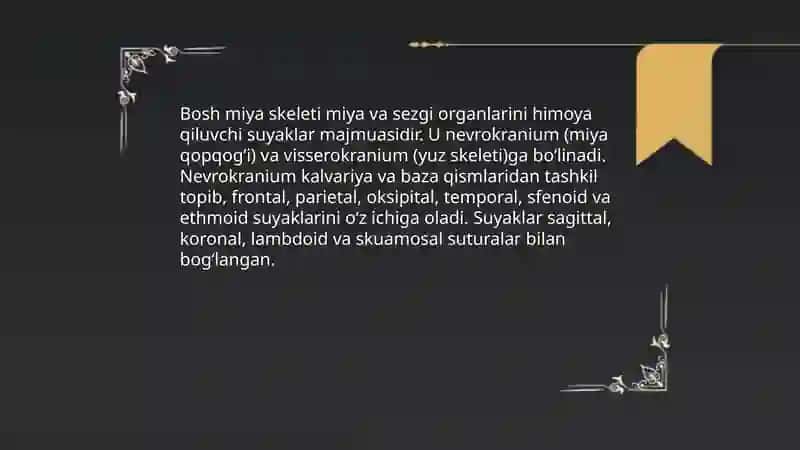 Bosh miya skeleti vazifasi va funksiyalari 3