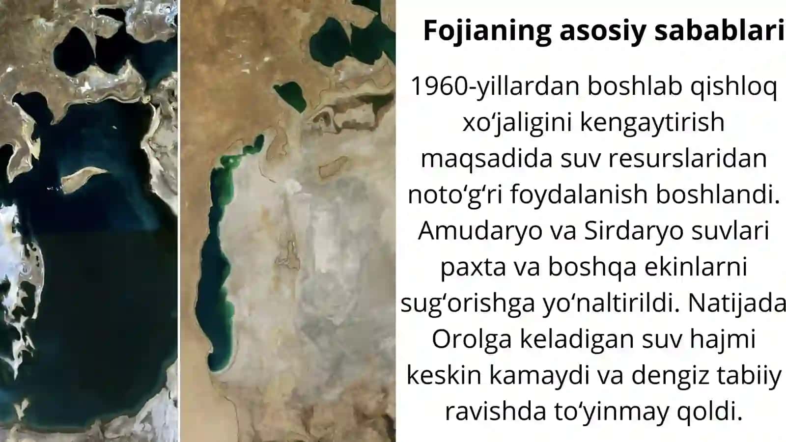Orol dengizi fojiasi 3