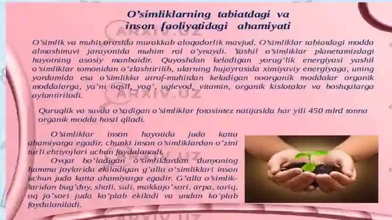 O’simlik turkumlari va ularning tabiiy joylashishlari (xaritada belgilash) 3