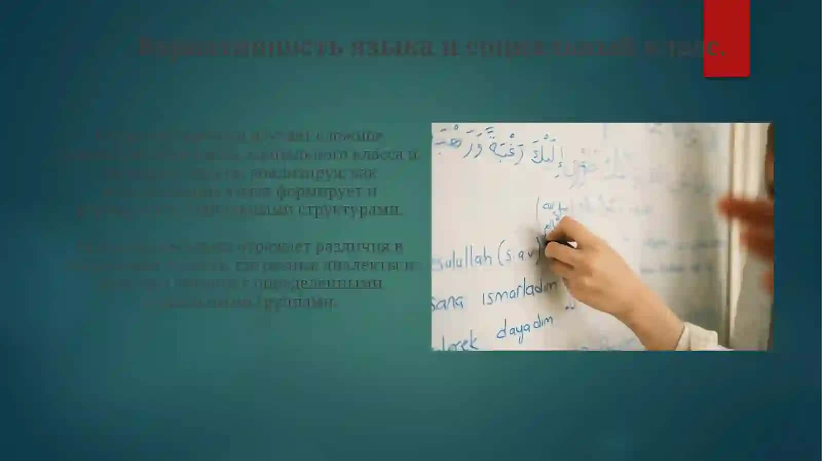 Владение языком как социолингвистическая проблема 3