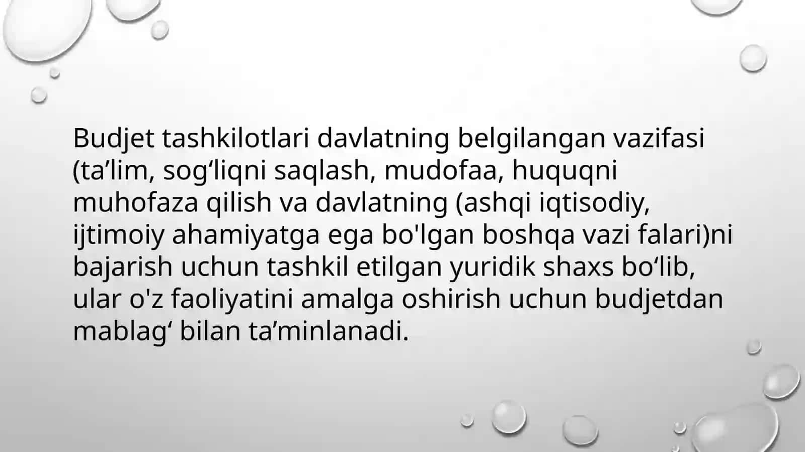 byudjettashkilotlaridayuritiladiganhisobhujjatlarihamdaregistrlarishakllari 3