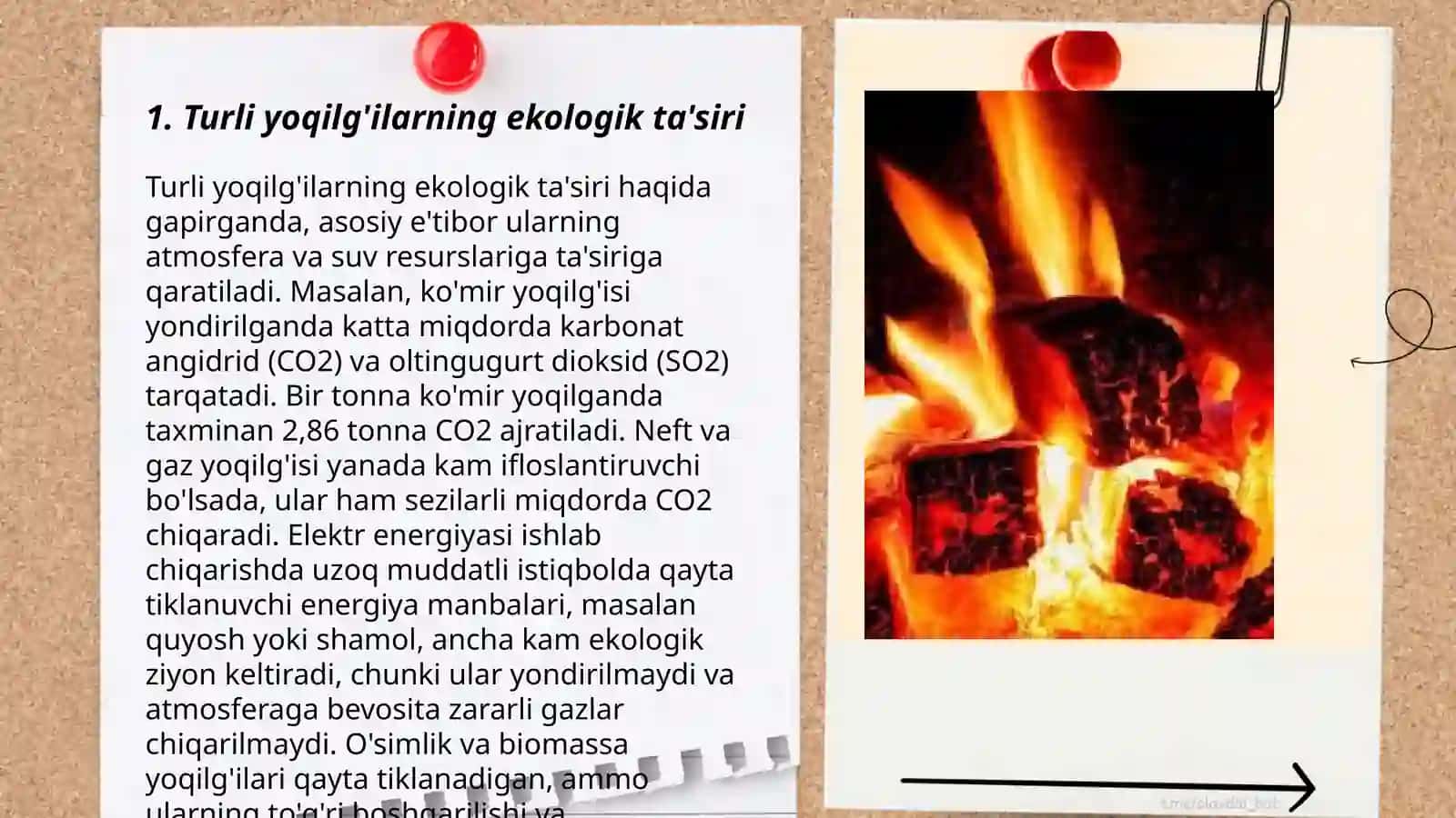 Turli yoqilg'ilarning ekologik ta'siri 3