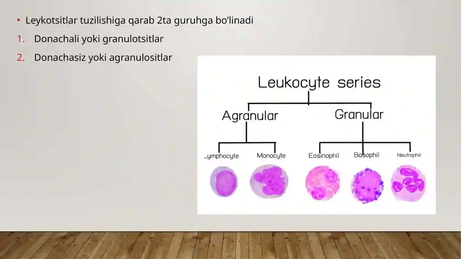 Leykotsitlat metobolizmi 3