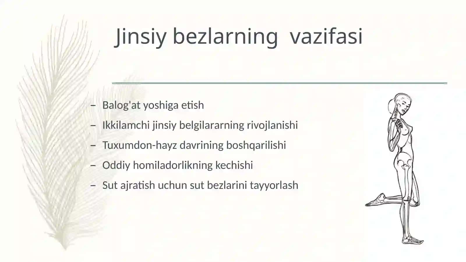 Ayol jinsiy gormonlari 3