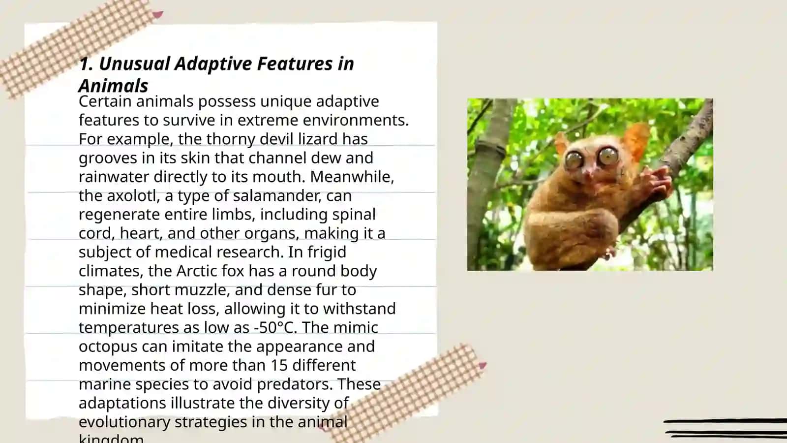 Strange animals 3