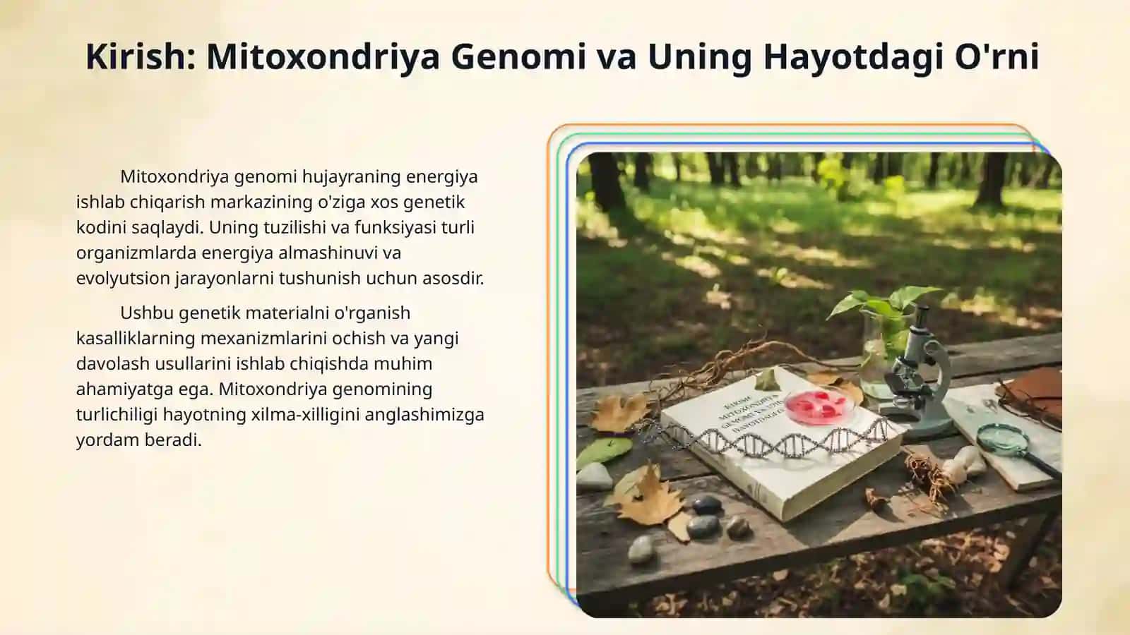 Mitoxondiriya genomi.Transkripsiya va translyatsiya bosqichlari.Start va stop kodonlar, information RNK,ribosoma va uning subbirliklari,initsiatsiyasi,elongatsiya va terminatsiya omillari.Bakteriya,bir hujayrali eukaroit umurtqasiz va umurtqali hayvonlar, ósimliklar genomlari tuzilishi bir-biridan farqi qiluvchi xususiyatlari 3