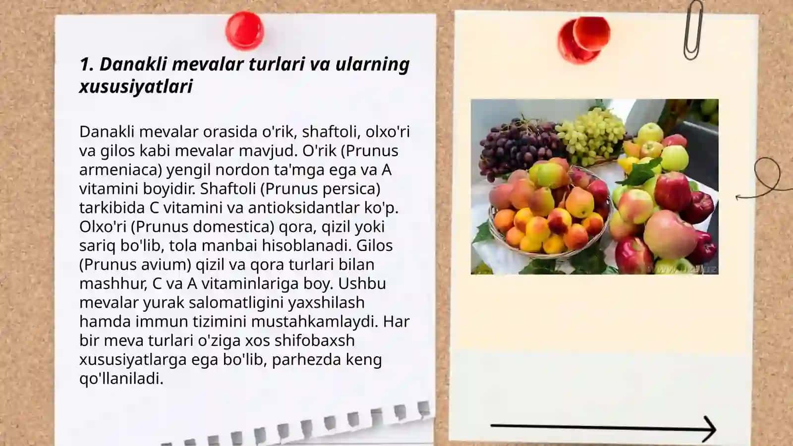 Danakli mevalarni yetishtirish va ularga shakl berish texnologiyasi 3